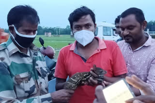 Baby deer rescue Near the petrol pump at  Mayurbhanj