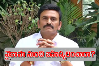 వైకాపా వెబ్​సైట్ నుంచి ఎంపీ రఘురామ పేరు తొలగింపు