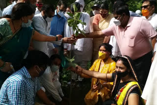 पूर्व केंद्रीय मंत्री के जन्मदिन पर पौधारोपण, Plantation on birthday of former Union Minister