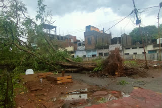 heavy rain in bhopal