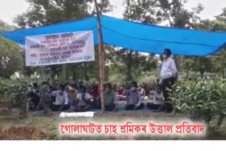 protest-by-tea-workers-at-golaghat-rajabari-tea-estate