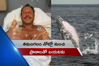 US Diver Swallowed By Humpback Whale, Survives After Mammal Spits Him Out after 30 Seconds