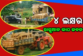 ୪ ଲକ୍ଷ ଟଙ୍କାର ଚୋରା ସାଗୁଆନ କାଠ ଜବତ