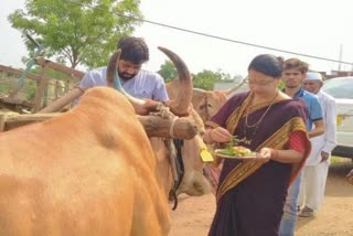 अमरावती ताज्या बातम्या