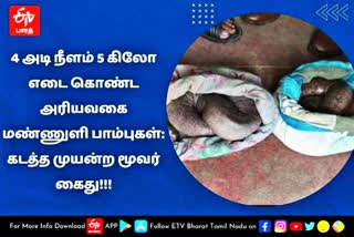 Namakkal, Kerala,snake,rare, smuggling, arrested  Rasipuram Snake smuggling  மண்ணுளி பாம்பு  கடத்தல்  மண்ணுளி பாம்புகளை கடத்திய விவகாரம்  நாமக்கல் மண்ணுளி பாம்புகளை கடத்திய விவகாரம்  நாமக்கல் செய்திகள்  குற்றச் செய்திகள்  namakkal news  namakkal latest news  namkkal snake smuggling  snake smuggling  smuggling  crime news