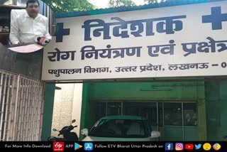 खुरपका-मुंहपका की 82 लाख एफएमडी वैक्सीन होगी नष्ट