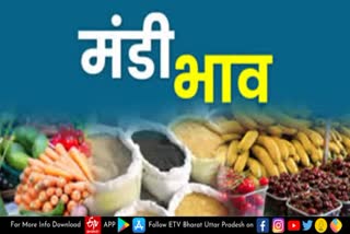 fruits price in lucknow sabzi mandi  today vegetables and fruits price  lucknow sabzi mandi  today vegetables and fruits rate in lucknow sabzi mandi  lucknow sabzi mandi rate  लखनऊ सब्जी मंडी भाव  लखनऊ सब्जी मंडी  फलों और सब्जियों का रेट  मंडी रेट  लखनऊ की ताजा खबर