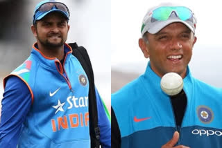 rahul dravid, suresh raina