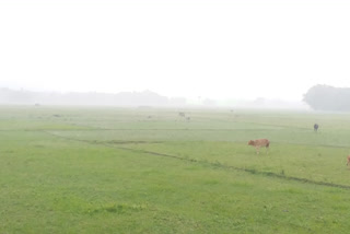 rain in araria before monsoon