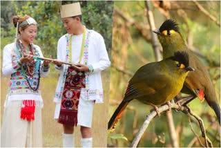 A bird that got its name from a Tribe of Arunachal Pradesh