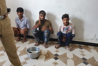 Three of the four thieves were arrested by the youth and police of the village security force  in Sonai