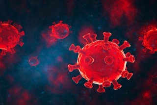 delta-plus-variant-of-coronavirus-is-more-dangerous-than-delta-variant