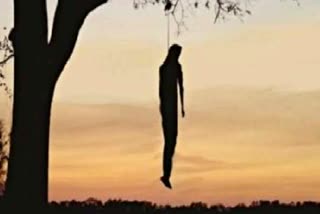 crime in churu  commits suicide  23 year old man commits suicide  चूरू न्यूज  पेड़ से लटका मिला शव  23 साल के युवक ने की आत्महत्या  चूरू में आत्महत्या  क्राइम इन चूरू