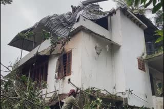 tree fell, two houses collapsed  രാജകുമാരിയിൽ മരം വീണ് രണ്ട് വീടുകൾ തകർന്നു  രാജകുമാരി  മരം വീണു  രണ്ട് വീടുകൾ തകർന്നു  tree fell  two houses collapsed