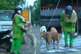 തെരുവ് നായകൾക്ക് ഭക്ഷണമൊരുക്കി ബി.ടെക് ബിരുദധാരികൾ  ലോക്ക് ഡൗൺ  ആലപ്പുഴ  50 ലേറെ നായകൾക്ക് ദിവസേന ഭക്ഷണം  B.Tech graduates prepare food for street dogs