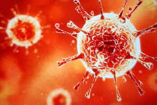 West Bengal: Significant reduction in daily cases of corona virus