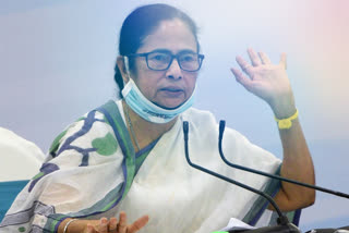 mamta banerji