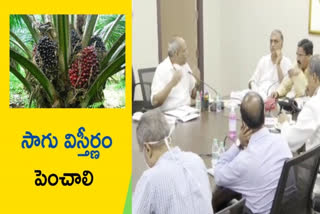 minister harish rao meeting  on oil palm cultivation