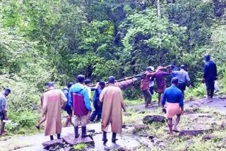 കാട്ടാന ആക്രമണം  കൊല്ലപ്പട്ടയാളുടെ മൃതദേഹം കണ്ടെത്തി  elephant-attack  dead body found  വി.ജി ഷാജി  elephant-attack dead body found