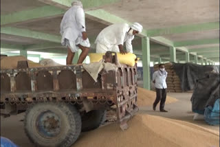 Farmers get good price on support price, राजस्थान में समर्थन मूल्य पर हो रही खरीदी