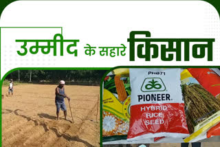 ranchi farmers are facing problems in transporting kharif crop in lockdown