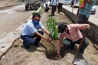 ghaziabad plantation drive