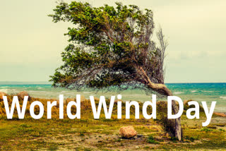 World Wind Day, Global Wind Energy Council