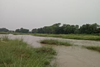 দাদুর সঙ্গে নদীতে স্নান করতে গিয়ে কংসাবতীতে তলিয়ে মৃত্যু নাতির