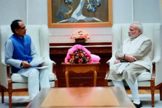 SHIVRAJ MEETS MODI