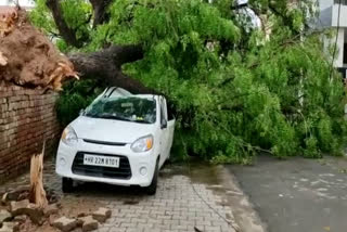 monsoon rain fatehabad