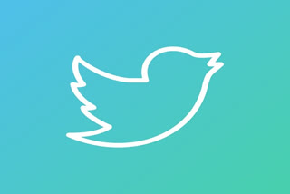 Twitter appoints interim Chief