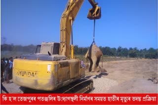 investigation-process-into-the-death-of-an-insect-during-the-build-of-patanjalis-venture-site-in-tezpur