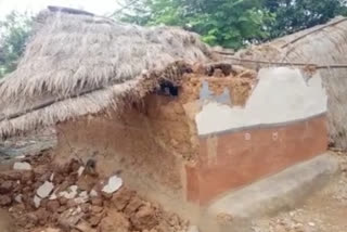 Elephant broke houses in Kukdu area of Seraikela, also ate grains