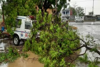 tree-fell-on-police-pcr-van-due-to-strong-wind-in-noida