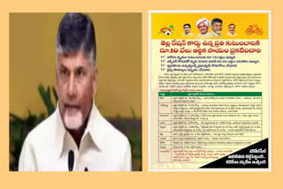 TDP Agitations Week