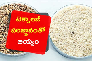 Scientists developed bio rice