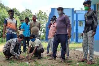 সবুজায়নের লক্ষ্যে শহর জুড়ে চারাগাছ লাগানোর উদ্যোগ নিল চন্দ্রকোনা তৃণমূল যুব কংগ্রেস