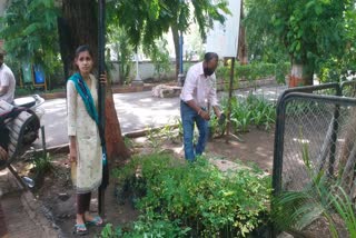 અઢી લાખથી વધારેPlantation of treesનો ટાર્ગેટ