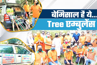 tree ambulance in jaipur, Tree ambulance treatment