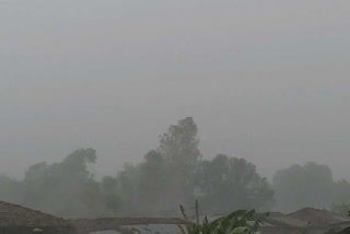 heavy rain alert issued in shahdol