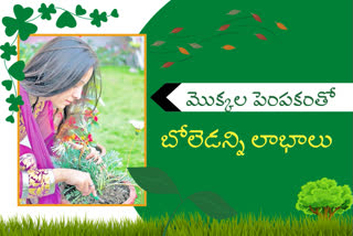 Benefits with plant breeding  in telugu