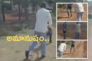 video of youth beating chittorgarh, రాజస్థాన్​ ఛిత్తోర్​గఢ్​ వార్తలు