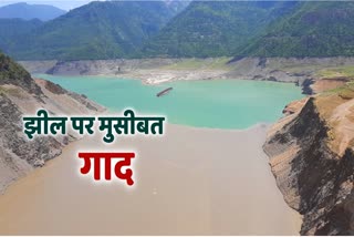 tehri dam siltation