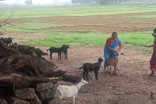 women quit selling liquor in jharkhand