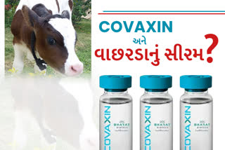 COVAXIN and Calf Serum