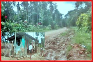 wild-elephant-in-thekepaguri-nagaon