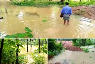 waterlogging at Chuliad Kadavu  ചൂളിയാട് കടവിൽ വെള്ളക്കെട്ട്  ചൂളിയാട് കടവിൽ വെള്ളക്കെട്ട്; നിരവധി കുടുംബങ്ങൾ ദുരിതത്തിൽ  കനത്ത മഴ  Heavy rain  പുഴ  പഞ്ചായത്ത്‌