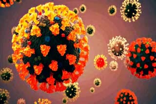 tamilnadu, salem,  corona cases down in salem  covid19  corona virus  corona virus decrease  salem news  salem latest news  சேலம் செய்திகள்  சேலம் கரோனா பாதிப்பு  கரோனா பாதிப்பு  கரோனா தொற்று குறைவு  சேலம் கரோனா தொற்று குறைவு