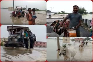 gopalganj-flood-news-update