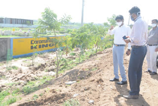 Collector C. Narayana Reddy visited plantation in  new integrated collectorate in Nizamabad district